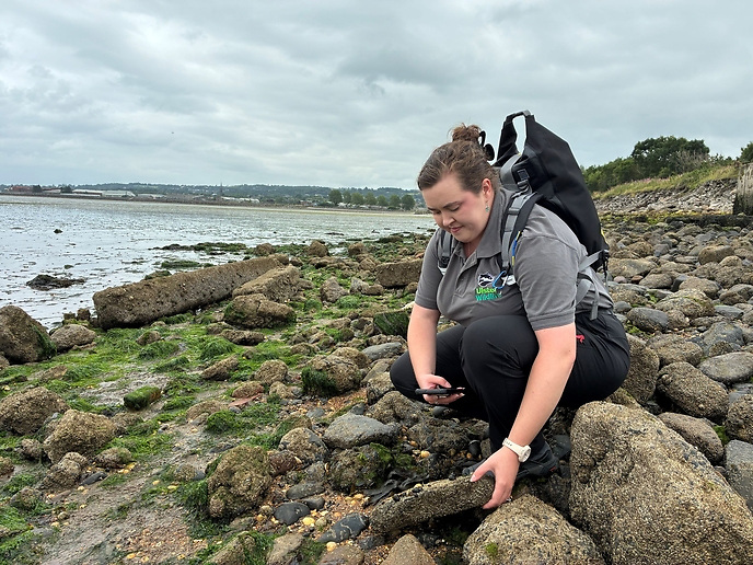 Join Ulster Wildlife to Protect Northern Ireland's Shores