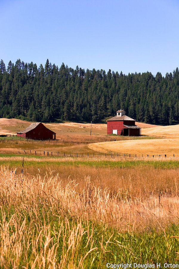 Palouse Hills, Washington, known as the heart of wheat farming in the United States is also famous for its rolling scenery. This farm landscape is at the base of Kamiak Butte, a Whitman County Park offering camping, picknicking, hiking, and incredible views of both Idaho and Washington Palouse country. Palouse Scenic Byway.