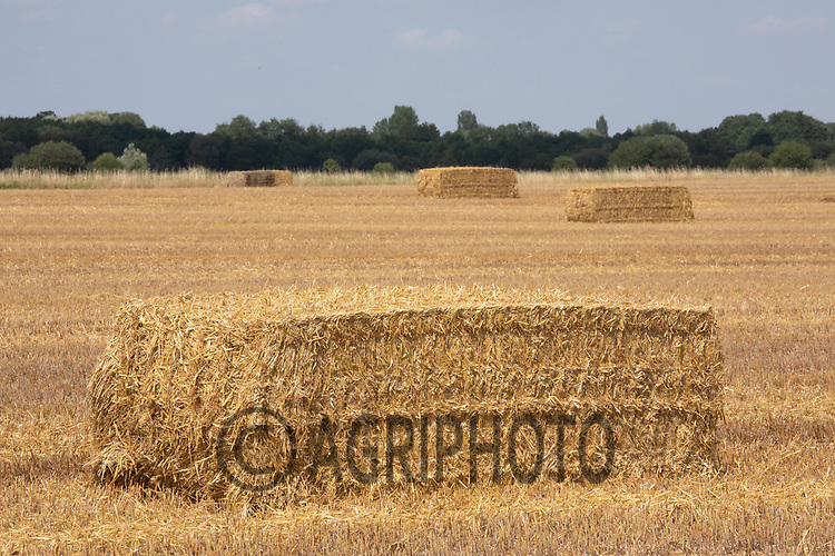 Contractors baling and carting Barley straw in Lincolnshire<br />
©Tim Scrivener Photographer 07850 303986<br />
....Covering Agriculture In The UK....
