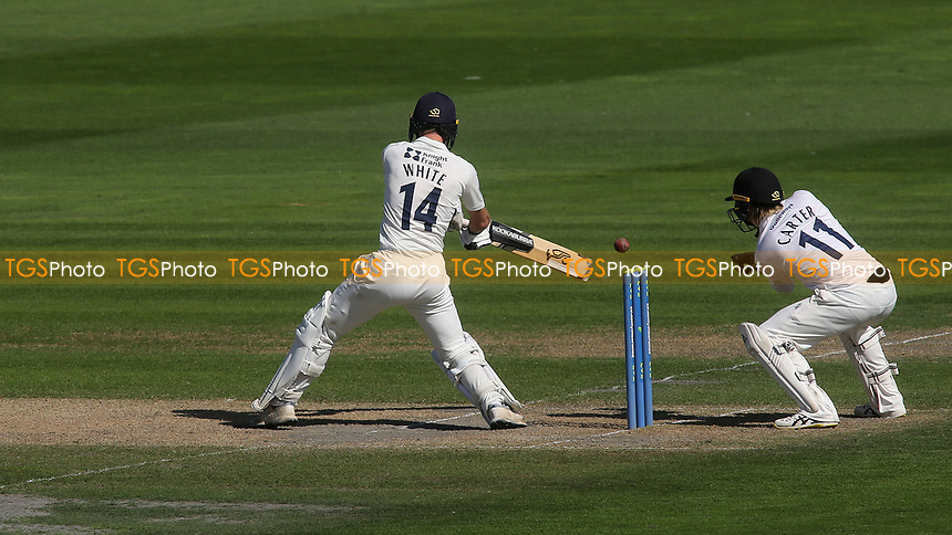 Robbie White in batting action for Middlesex during Sussex CCC vs Middlesex CCC, LV Insurance County Championship Division 3 Cricket at The 1st Central County Ground on 7th September 2021
