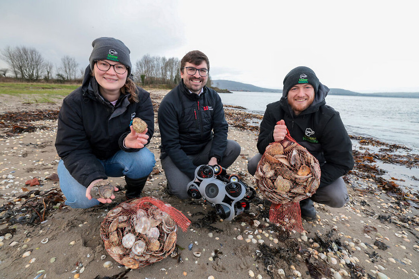 Latest Step in Bid to Revive Belfast Lough&rsquo;s Native Oysters