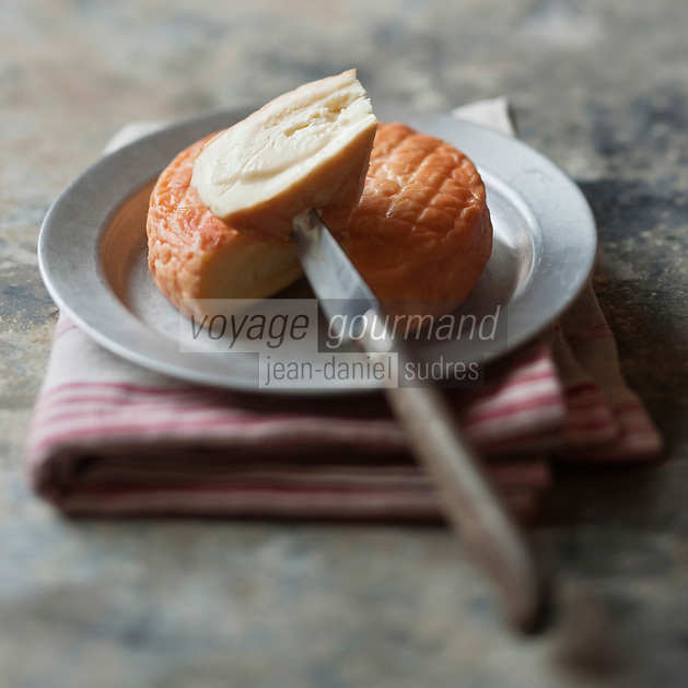 Europe/France/Bourgogne/21/Côte d'Or: AOC Epoisses, fromage à base de lait de vache, à pâte molle, à croûte lavée, Il est affiné en étant frotté au marc de Bourgogne. Sa couleur orangée est due aux bactéries de surface : l'utilisation de colorants est strictement interdite. - Stylisme : Valérie LHOMME // France, Cote d'Or, AOC Epoisses cheese made from cow's milk, soft cheese, washed rind, it is refined by being rubbed with Marc de Bourgogne, its orange color is due to surface bacteria, the use of colors is strictly prohibited, styling, Valerie Lhomme
