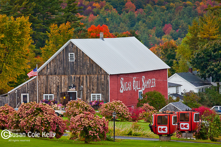 NHWMFR1025.jpg Susan Cole Kelly Fine Art Prints