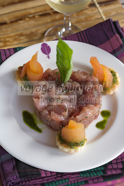 France/DOM/Martinique/Le François : Thon en tartare recette d'Hervé Rameau chef de l'Hôtel Cap Est Lagoon Resort & Spa