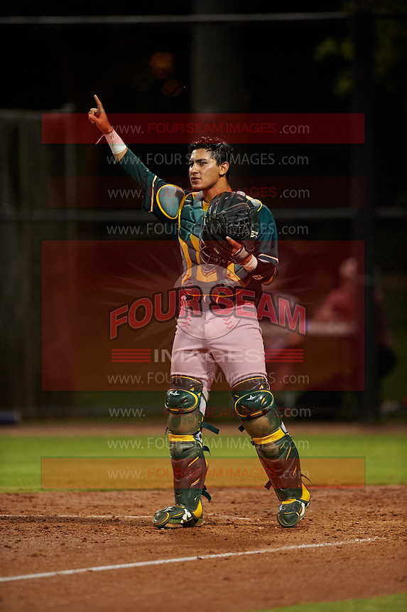 AZL Athletics Green catcher Hansen Lopez (6) during an Arizona League game against the AZL Dodgers Lasorda at Camelback Ranch on June 19, 2019 in Glendale, Arizona. AZL Dodgers Lasorda defeated AZL Athletics Green 9-5. (Zachary Lucy/Four Seam Images)