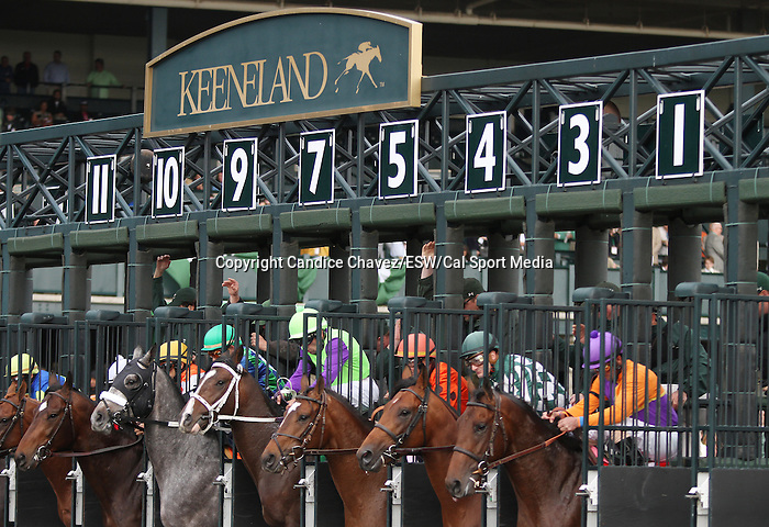 April 04, 2014: Medal Count and jockey Robby Albarado win the 26th running of The Transylvania Grade 3 $100,000 at Keeneland Racecourse for owner Spendthrift Farm and trainer Dale Romans. Candice Chavez/ESW/CSM