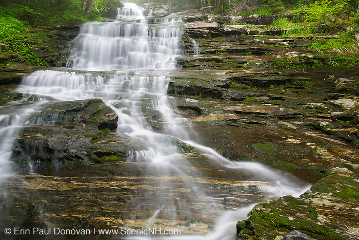 Beaver Brook Cascades on Beaver Brook in Kinsman Notch of the New Hampshire White Mountains on a rainy and foggy spring day. The Appalachian Tail passes by these cascades.