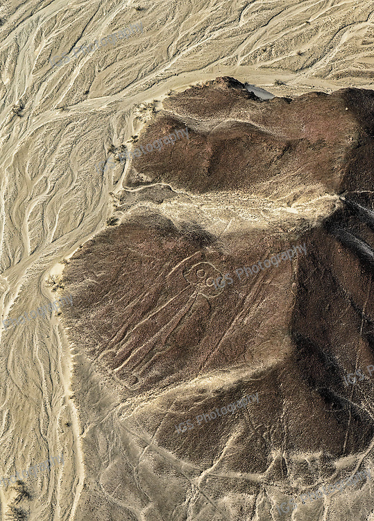 The geoglyphs of Nasca and the pampas of Jumana, depict living creatures, stylized plants and imaginary beings, as well as geometric figures