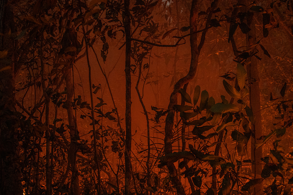 Sinop - MT - Brasil, 25 de agosto de 2020: Floresta amazônica em chamas no município de Sinop. FOTO: CAIO GUATELLI