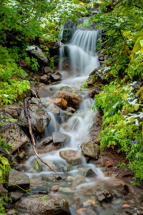 A small stream accented with autumn snow on the eastern side of Mount Rainier.