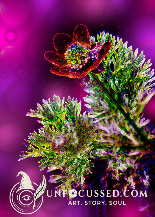 A flower abstraction with deep purple, pink and cotton candy background tones.