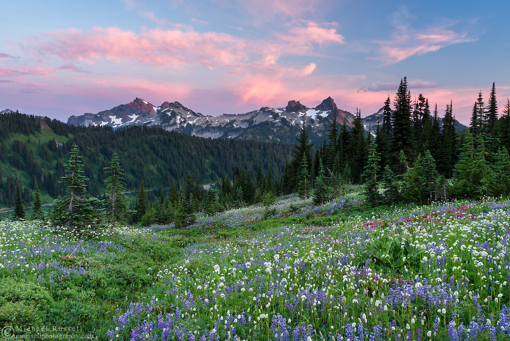 Sunset at the Tatoosh Range from Paradise in Mount Rainier National Park, Washington State, USA