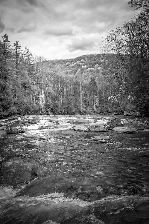 This photo was captured just a Spring began to visit the Williams River. This river is a fly fishermanís dream and is regarded as one of the five best trout fishing streams in West Virginia. The Williams runs 33 miles and spans two counties, Pocahontas and Webster before it empties into the Gauley.