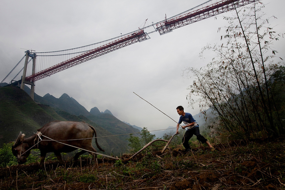 The tension is like the slender cables that suspend the 2.25 km long bridge across the lively Baling River valley. Soon, across this delicately balanced structure of steely elegance will speed the citizens of new China, in shiny new cars with nervously over-filled schedules. The Baling River Bridge is the last and crucial piece linking thousands of kilometers of highway, stretching from Guangzhou, the manufacturing hub of China to Kunming the terminus of the Burma oil pipeline project. Along these roads, deals will be made, minerals extracted, and tourists with carefully purchased leisure time shuttled into the bucolic landscape. <br />
<br />
Under the new Bridge resides live Wei Xinyuan and his wife Lu Deqing, of the Buyi minority. Their lives have always been finely tuned to the seasons of planting and harvest. Nearly all their food is grown for their own consumption and to feed their one pig. What they make in a year from selling surplus corn and some produce is, in a good year, equal to one-third the average monthly income for an urban Chinese. Wei and his wife are two of China’s 700 million rural peoples. <br />
<br />
In this image: farmer Wei Xinyuan ploughs his field under the Baling River Bridge, which soars 400 meters above the river valley. The bridge, in this image its platform span just about to be linked, is a feat of modern engineering. The Baling River Bridge is one of hundreds of infrastructure projects on which China plans to spend about 310 billion euros on over the next several years.