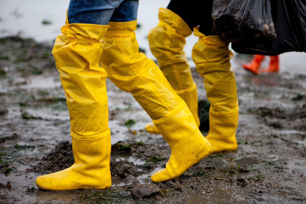 Visitors with hop long rubber boots carrying bags of collected mussels and seaweet on the open "Mysterious Sea Road" at Hoedong shore (Jindo island). Jindo is the 3rd biggest island in South Korea located in the South-West end of the country and famous for the "Mysterious Sea Route" or "Moses Miracle". Every spring thousands flock to the shores of Jindo to walk the mysterious route that stretches roughly three kilometers from Hoedong to the distant island of Modo. Materializing from the rise and fall of the tides, the divide can reach as wide as forty meters.