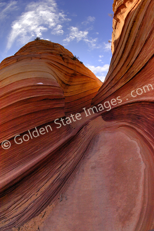Paria Canyon - Vermillion Cliffs Wilderness area in Southern Utah.<br />
<br />
Coyote Buttes North located in the Paria Canyon - Vermilion Cliffs Wilderness. This area features one of the most well-known geologic sandstone formations in the world, called "The Wave".<br />
<br />
The Wave is a spectacular area of sandstone formations twisted into the shapes of breaking waves pillars cones and mushrooms.<br />
<br />
An ancient sea laid down layers of sediment deposits which hardened to form the multicolored sandstone rock. Over eons the actions of water the cycles of baking heat and subfreezing temperatures and wind have formed its complex undulating shapes.<br />
<br />
The deep reds of the rock and their shapes appear to change with the seasons and time of day.