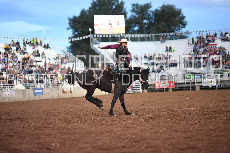 Roper Kiesner / 045 Colt 45 of Flying U, Nephi 2018<br />
<br />
<br />
UNEDITED LOW-RES PREVIEW<br />
<br />
File shown may be an unedited low resolution version used as a proof only. All prints are 100% guaranteed for quality. Sizes 8x10+ come with a version for personal social media. I am currently not selling downloads for commercial/brand use.