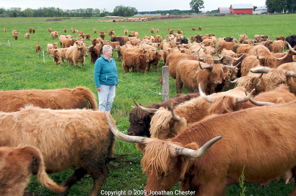 Heartland Iowa _Wisconsin