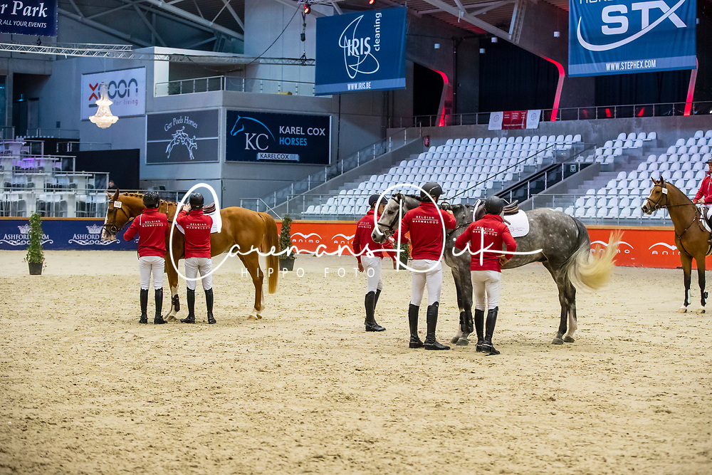 147, Dollars For Ever 111 Z, Vermandel Dave<br />
BWP hengstenkeuring 2019<br />
3de phase - Sentower Park - Opglabeek 2019<br />
© Hippo Foto - Dirk Caremans