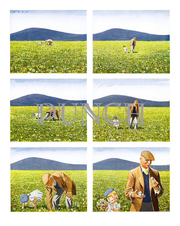 (Young girl picking flowers in field, old man picking up golf balls)