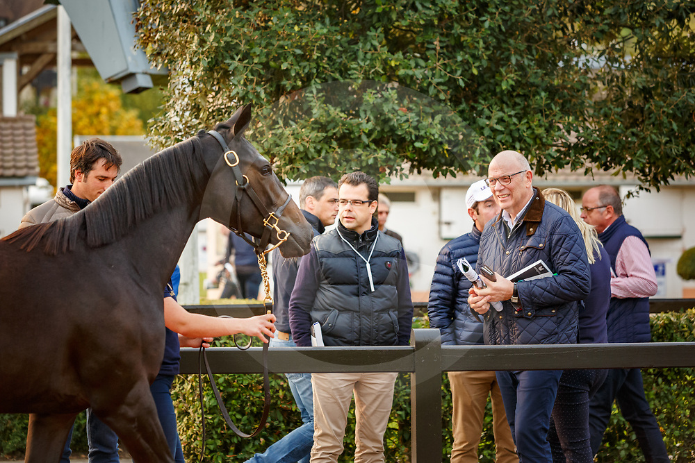 Arqana October Yearling Sale, Deauville, 17/10/2017, photo: Zuzanna Lupa