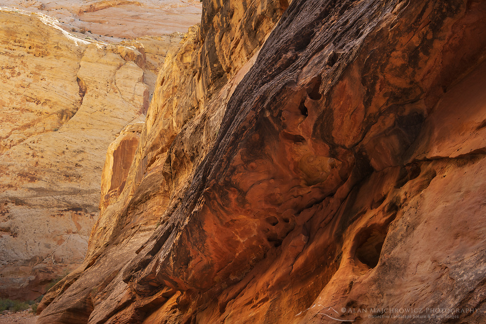 Sandstone walls in canyon of Capitol Gorge Capitol Reef National Park Utah