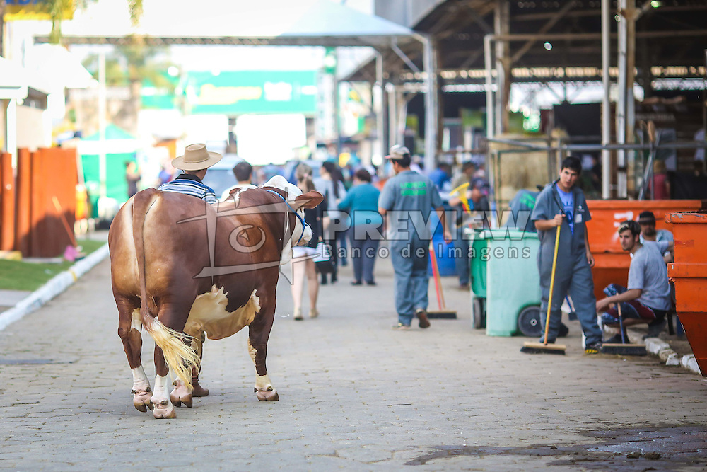 Imagens um dia antes da abertura da 39ª Expointer, a maior feira a céu aberto da América Latina, que ocorre no Parque de Exposições Assis Brasil, entre 27 de agosto e 04 de setembro de 2016 e reúne as últimas novidades da tecnologia agropecuária e agroindustrial. FOTO: Gustavo Roth / Agência Preview
