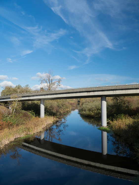 United States, Washington, Bellevue, Mercer Slough Nature Park
