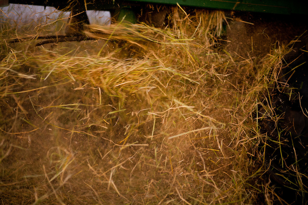 Charlie Mathews harvests rice on his family's land in Yuba county. Yuba county rice harvest was valued at $38.7 million in 2016.