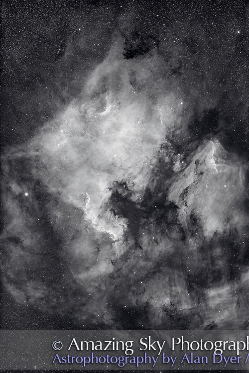 The well-known North America Nebula (NGC 7000), with the smaller Pelican Nebula (IC 5067) to the right, in Cygnus, taken in the deep red light of hydrogen and rendered here in monochrome. This shows the rich detail and structure in the nebulas. <br />
<br />
This is a stack of 16 x 16-minute exposures with the Canon EOS Ra, on the SharpStar 94mm EDPH refractor with its f/4.5 flattener/reducer lens. The camera had a 12nm Astronomik clip-in H-a filter installed. The images were shot over two nights and with the Moon up for most exposures. Autoguided with the Lacerta MGEN3 stand-alone guider.<br />
<br />
In processsing I used Lumenzia 10 to create luminosity masks on Curves layers to bring out the nebulosity. An application of the Star XTerminator plug-in for Photoshop created a starless layer that was blended back in selectively to eliminate or suppress stars to help accentuate the nebulosity and structure, but without a fully starless image which often shows pockmarked artifacts where the stars were. A high pass filter further snapped up the dark lanes and streaks. A colour grade adds the slight blue tint for artistic effect. <br />
<br />
All stacking, alignment and blending with Photoshop 2022.