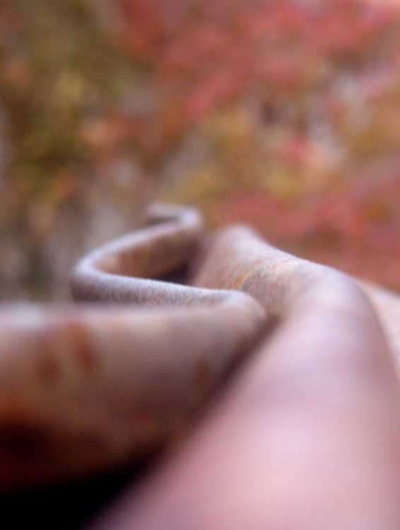 Detalle de Exposición en el CAAC (Centro Andaluz de Arte Contemporáneo), Sevilla.<br />
Escultura de un tren accidentado en acero oxidado sobre fondo de hojas de yedra en otoño.