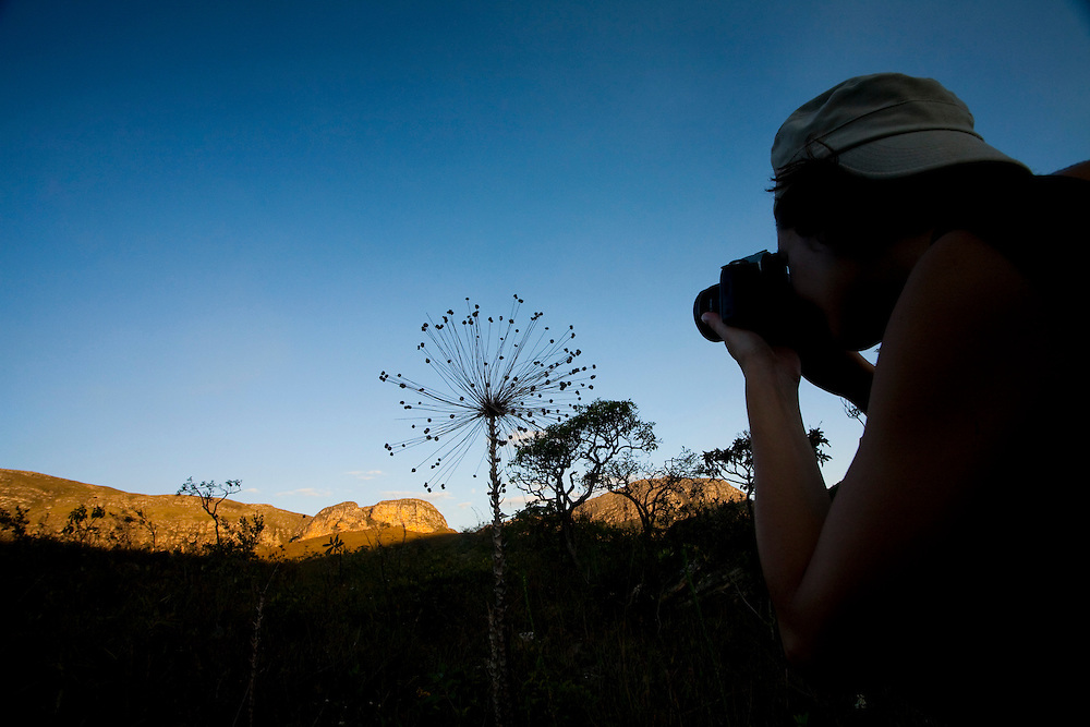 Santana do Riacho_MG, Brasil...Homem fotografando a Sempre viva (Paepalanthus) do Alto Palacio no Parque Nacional da Serra do Cipo...A man taking photo of Sempre viva (Paepalanthus) in Alto Palacio in the Serra do Cipo National Park...Foto: JOAO MARCOS ROSA / NITRO