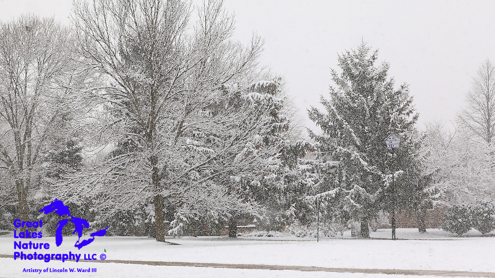 Images captured during a rather unexpected spring snowstorm on April 8, 2016, in the De Pere and Allouez Wisconsin area.