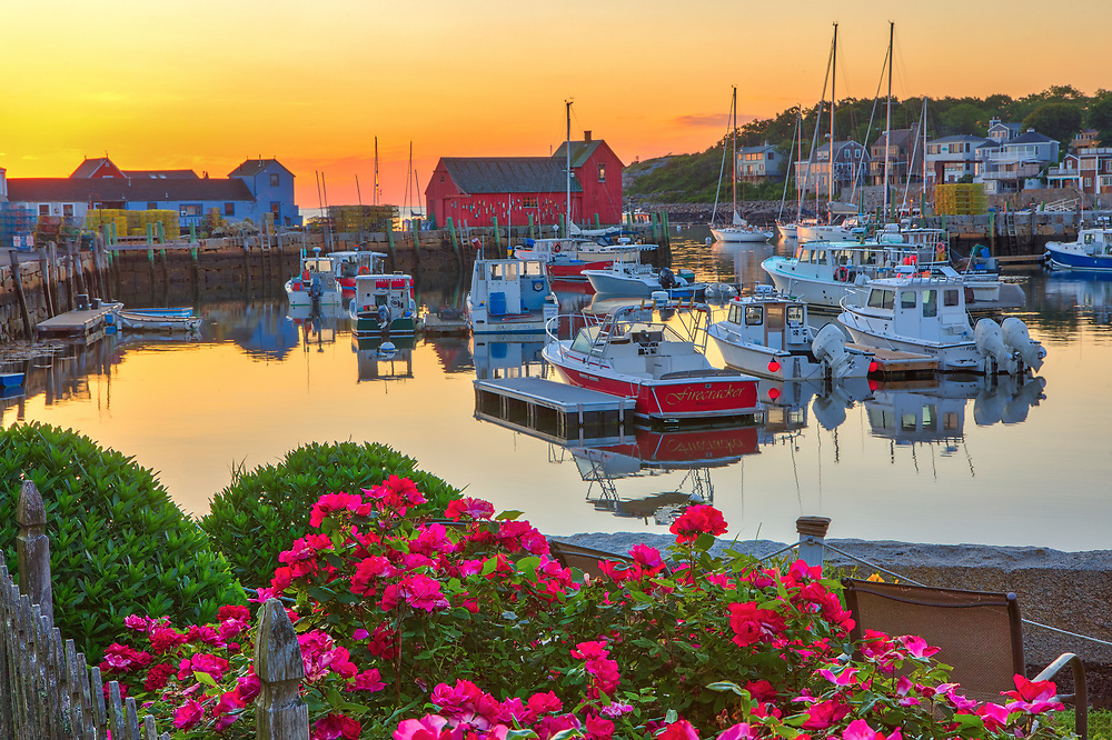 New England harbor scenery of Motif Number One, fishing boats and blooming rose flowers during at dawn in Rockport Harbor on Cape Ann, Massachusetts.<br />
<br />
Rockport harbor with Motif Number One photography photos are available as museum quality photo, canvas, acrylic, wood or metal prints. Wall art prints may be framed and matted to the individual liking and New England interior design projects decoration needs.<br />
<br />
Good light and happy photo making!<br />
<br />
My best,<br />
<br />
Juergen