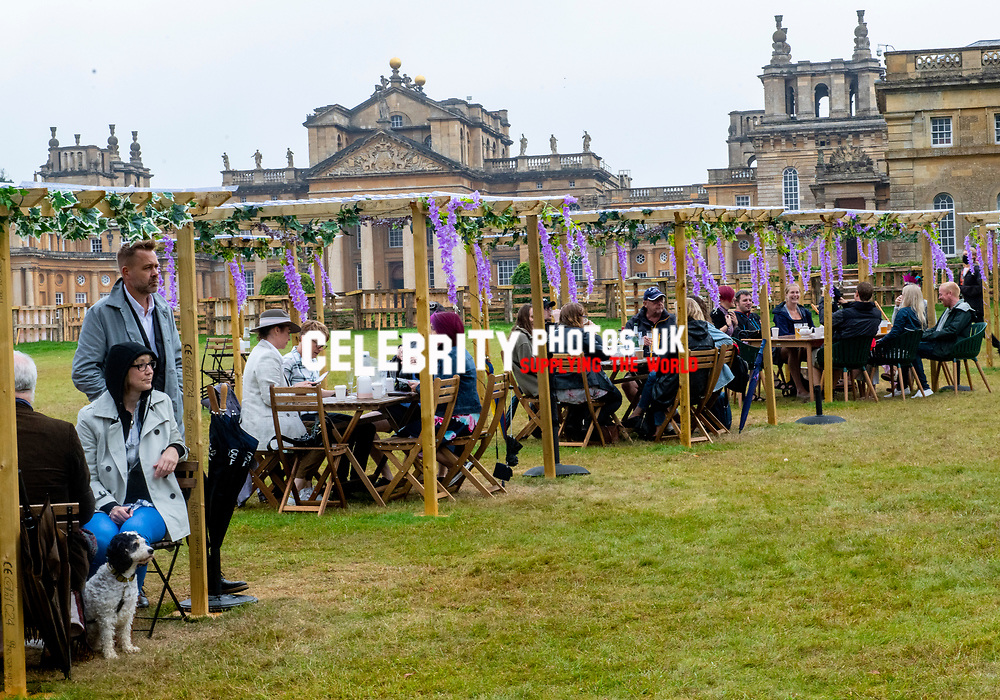 Picnic at the Palace at Blenheim Palace ,woodstock oxfordshire 15 aug 2020 Photo by Brian Jordan