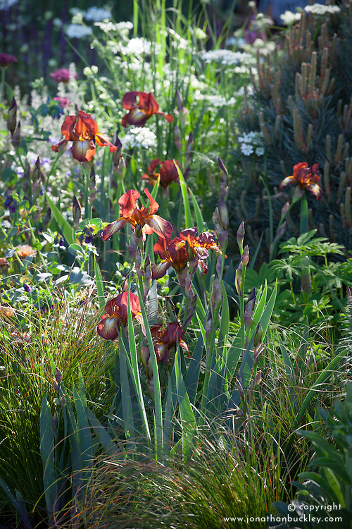 The Winton Beauty of Mathematics Garden. Design: Nick Bailey
