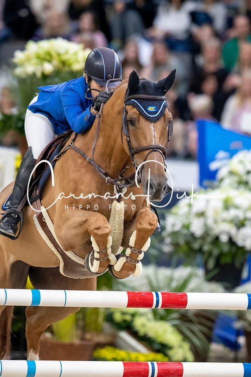 Heed Linda, SWE, Jarvis van D Abelendreef<br />
Gothenburg Trophy presented by Volvo<br />
LONGINES FEI World Cup™ Finals Gothenburg 2019<br />
© Hippo Foto - Dirk Caremans<br />
06/04/2019